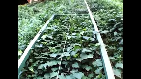 Michelle B enjoys double penetration from two big cocks