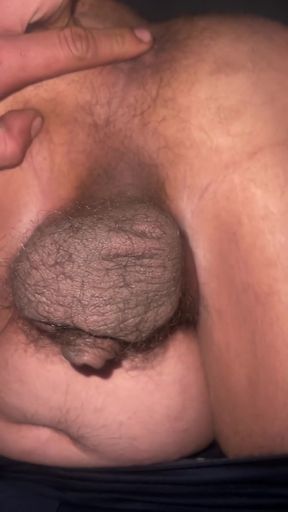 The the Great Wall of the Americas Is a