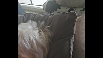 J adore sucer a fond et me faire bien baiser comme une bonne milf cochonne