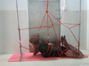 CD Selfbondage #1 : Accident And Orgasm