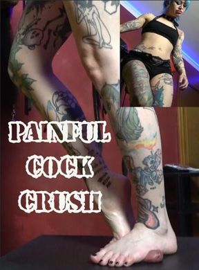 PAINFUL COCK CRUSH