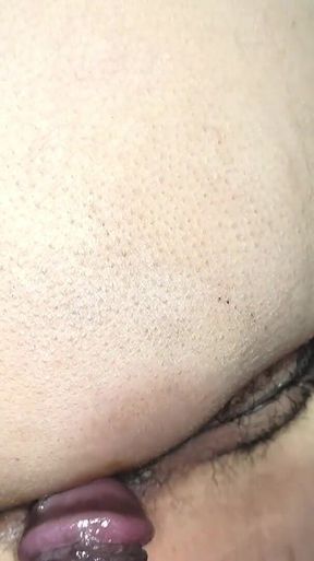 Quickly Hard Anal Sex with Sexy Maid, Moaning at Night