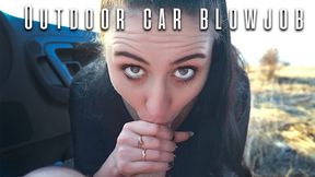 Outdoor Car Blowjob / Come Swallowed