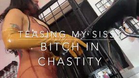 Tease and Denial for a Chastity Sissy Bitch ft Mistress Sophia Sahara