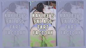 Kaylee's Fat Ass Fart Factory - Vertical Version