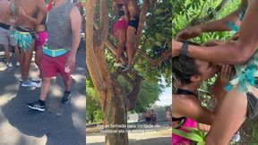 carnaval: foi em cima da arvore, no meio do bloco tomando na buceta e engolindo porra de desconhecido