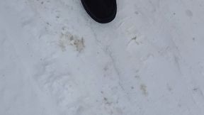 Tempest walks in the snow