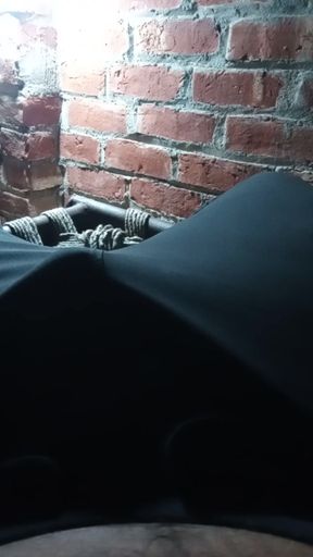 Bear sits me in motel apparatus so that he me alone