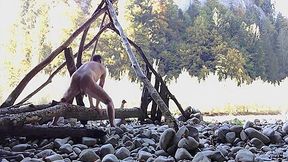 Outdoor Prostate Massage With Anal Toy 4 Min