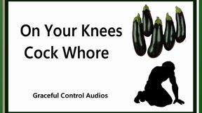 On Your Knees Cock Whore - Oral Servitude - Graceful Control Audios