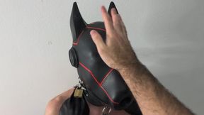 BDSM gay a puppy from the future to use for my pleasure