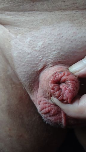 First nettles of spring!