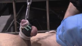 piercings and waxing cbt