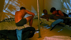 nextdoorstudios: Black Beauty in 85+ Films