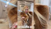 PELZ TRY-ON 🧥 #fur | Fuchs, Marder, Nerz & Lamm von Kate Monroe