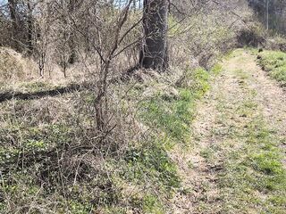 The stepmother takes out her stepson's wang and lets him pee.