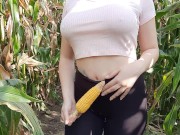 I'm playing in corn field