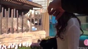 Hear Her Passionate Blowjob Sounds - Feel the Love for Cock Sucking Live