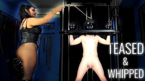 Objectification Bondage Whipping : Matriarch Ezada Sinn's Sadistic Latex Tease