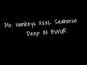 Bwur takes on Hankeys Toy XXXL Seahorse
