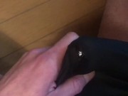 溢れ出るがまん汁を見せつけながら勃起チンポを擦り付ける変態日本人 #8