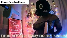 Sexy Honey Fucks Hard in Black Cat Cosplay Room, Pt1, Dildo Teasing and Riding