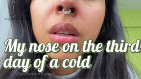 My nose on the third day of a cold