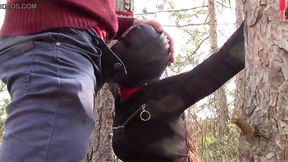 milf compilation bondage hood facefuck