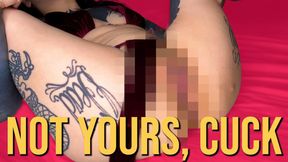 Not Yours, Cuck (Pixelated Pussy Rubbing)