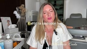 maitresse-carla - update #5 - may 22, 2024