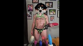 WILL THE NODE FIT? @AngryBarks attempts prodding six Weredog playthings into Azure's Snoot