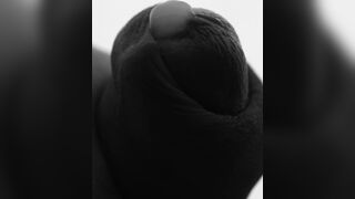 Jism with macro glance