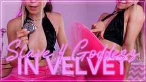 Slave in chastity for Goddess in velvet