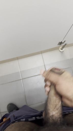 Jerking off in a Public Restroom