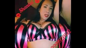 ST&reg_ SHANTAL www.solotrans.vze.com