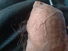 Monster cock wants you to give him a blowjob