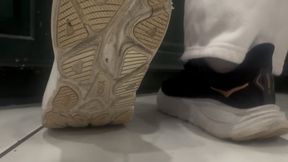 Leashed & Low: Sniffing My Hokas While We Walk