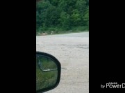 Being watched at the lake