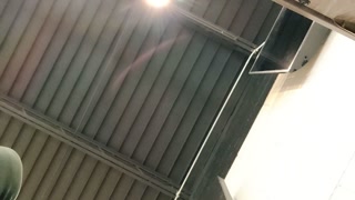 Dangling soles above your head