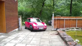 Stunning blonde babe gets ass fucked