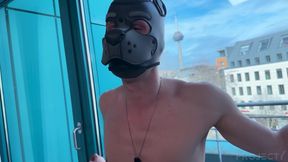 Puppy Boner