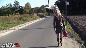 Enchanting ho's back seat fucks porn