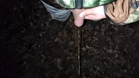 5 Times Piss on Dry Leaves in Different Views Compilation