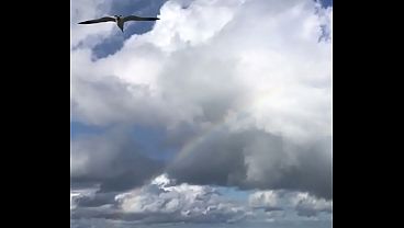 BEACH DAY WITH A RAINBOW