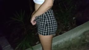 Having Sex with a Stranger in the Alley Near Home.