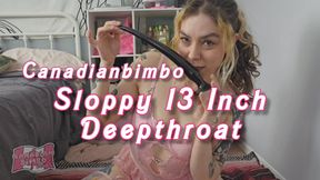 Sloppy 13 Inch Deep Throat