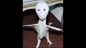 Man eats chips out of chicken ass