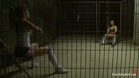 Rematch! Dia Vs. Felony