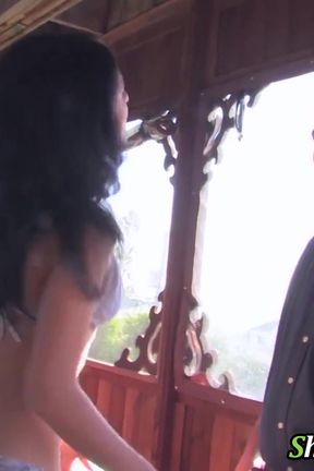 Shake the snake Eve and the Spa repairman