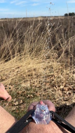 Outdoor micro chasttiy cage release